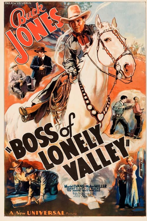 Jefe del valle solitario