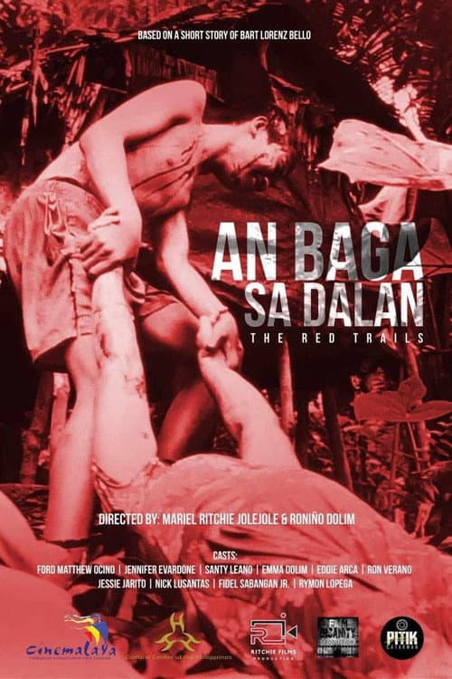 An Baga Sa Dalan