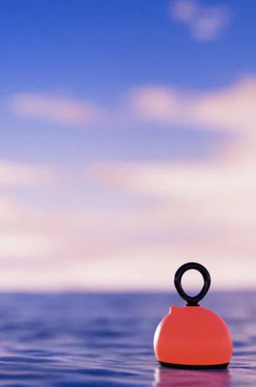 The Lost Buoy