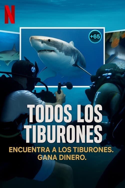 All the Sharks