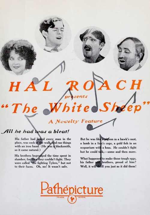 The White Sheep