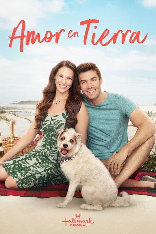 Love at the Shore