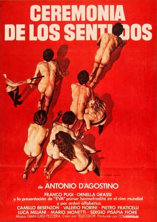 La cerimonia dei sensi