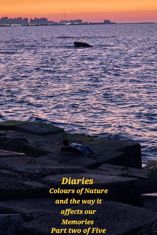 Diaries: Colours of Nature and the Way It Affects Our Memories.