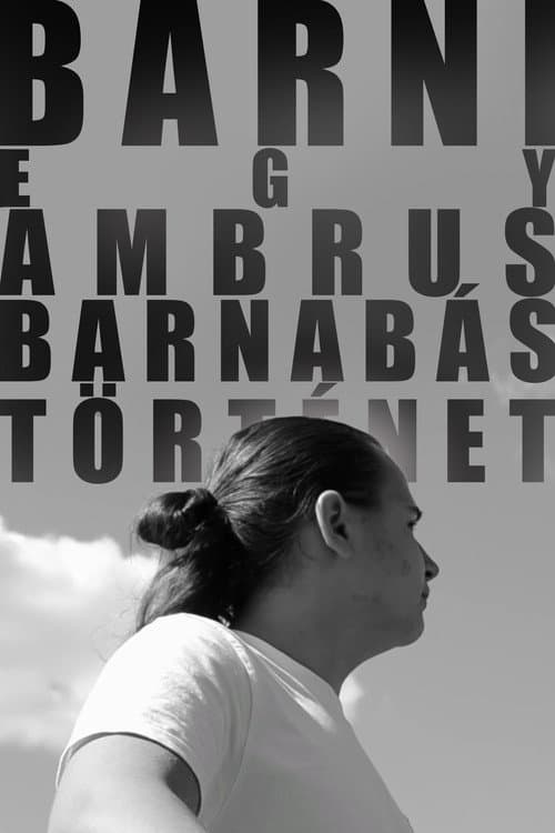BARNI: Egy Ambrus Barnabás-történet