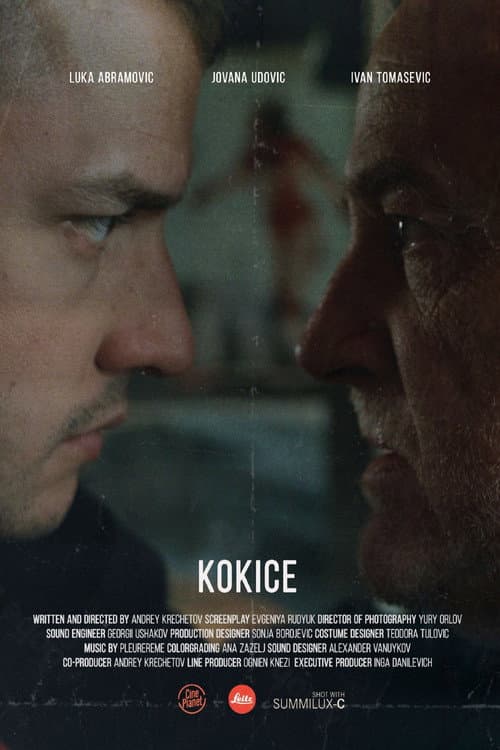 Кокице