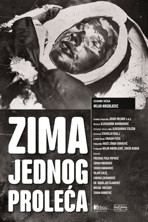 Zima jednog proleća