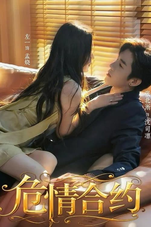 危情合约