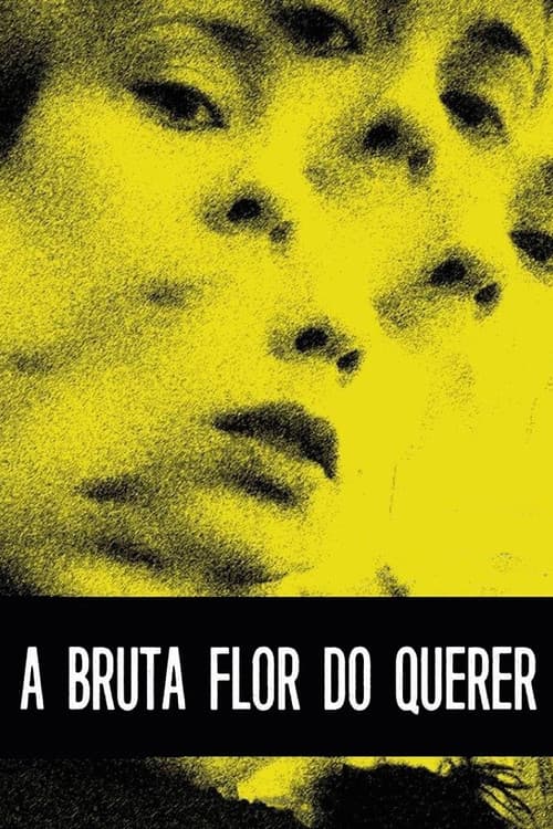 A Bruta Flor do Querer