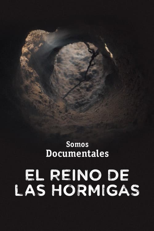 Le Royaume des fourmis