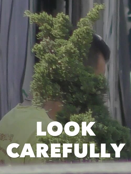 Look Carefully