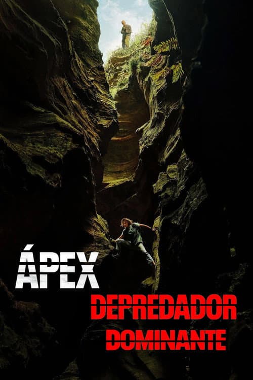 Ápex