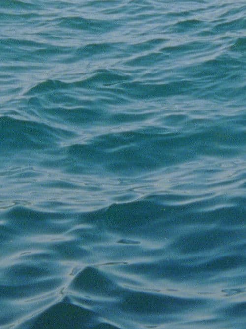 Water Diary