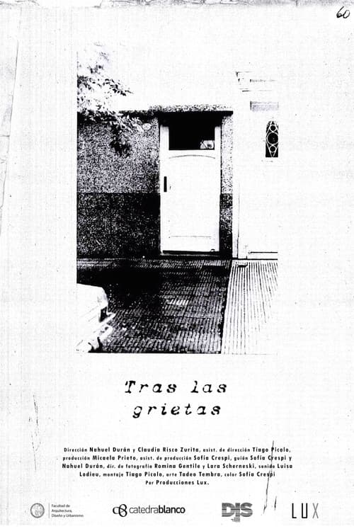 Tras las grietas