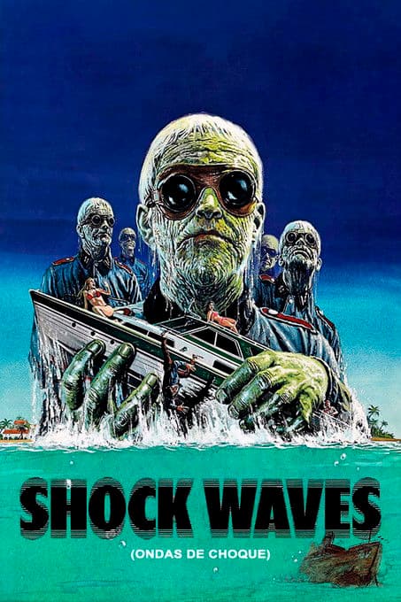 Shock Waves