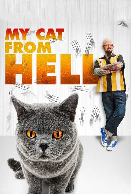 Mi gato endemoniado