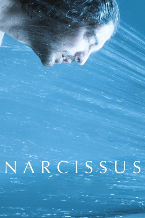 Narcizas