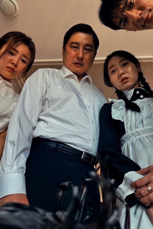 벌레들