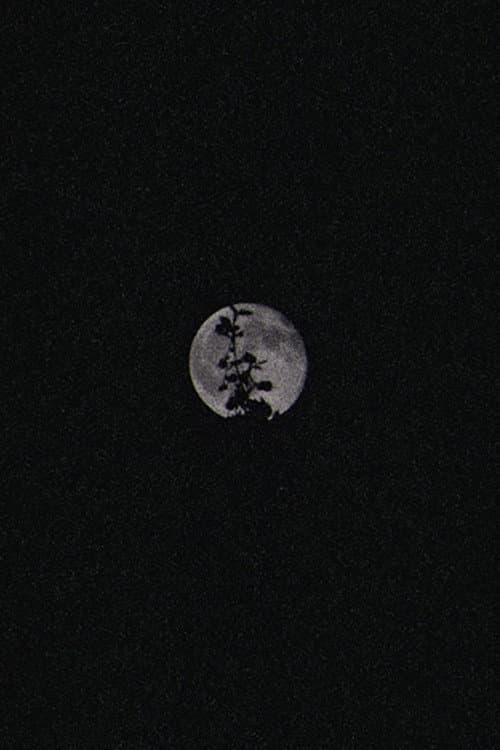 Lunar Visions II