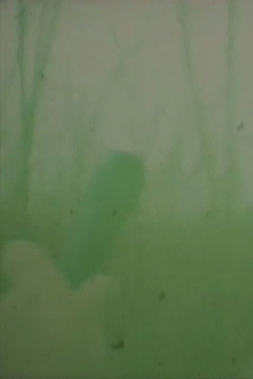 Oto o Karu
