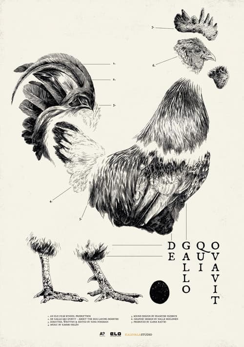 De Gallo Qui Ovavit