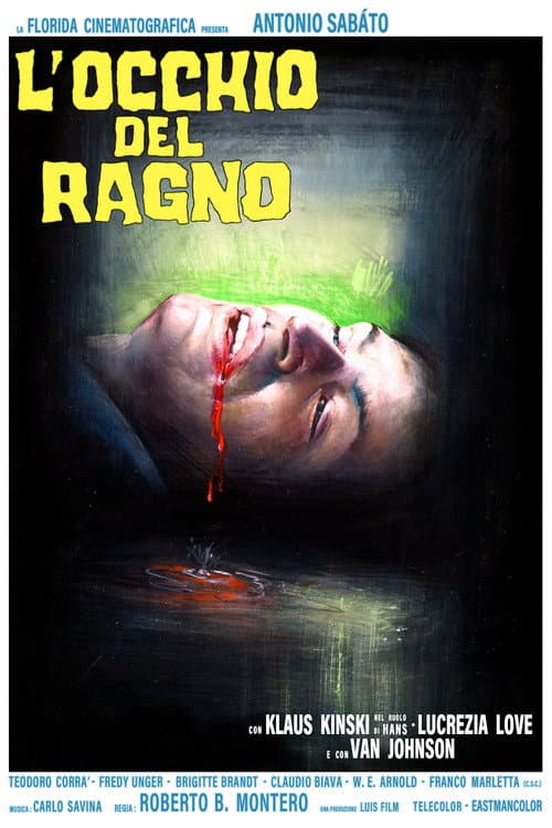 L'occhio del ragno