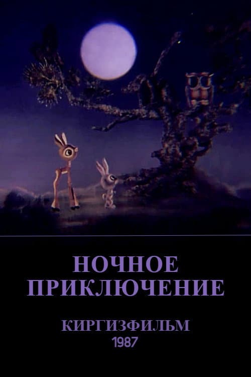 Ночное приключение