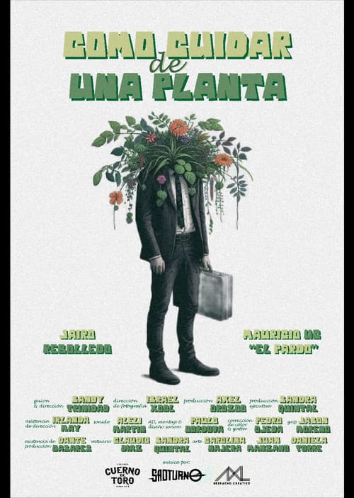 Cómo cuidar de una planta