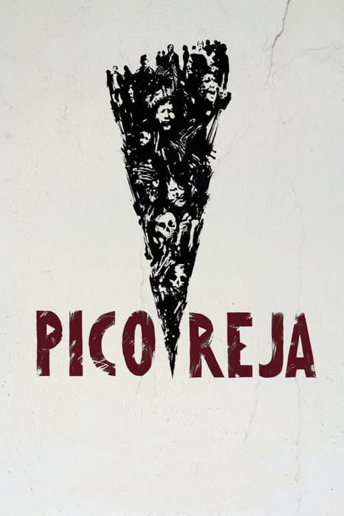 Pico Reja: la verdad que la tierra esconde