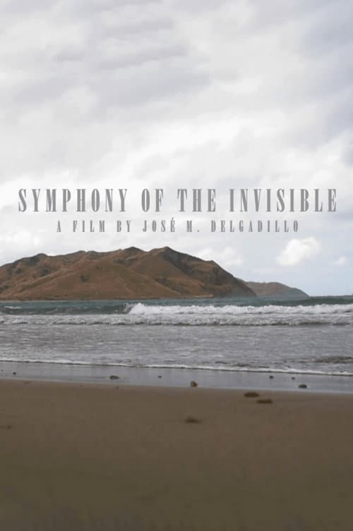 Sinfonía de lo invisible