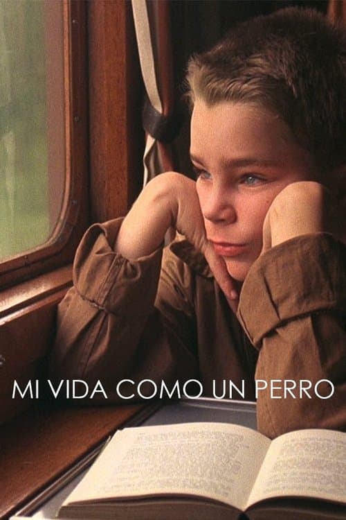 Mi Vida Como Perro