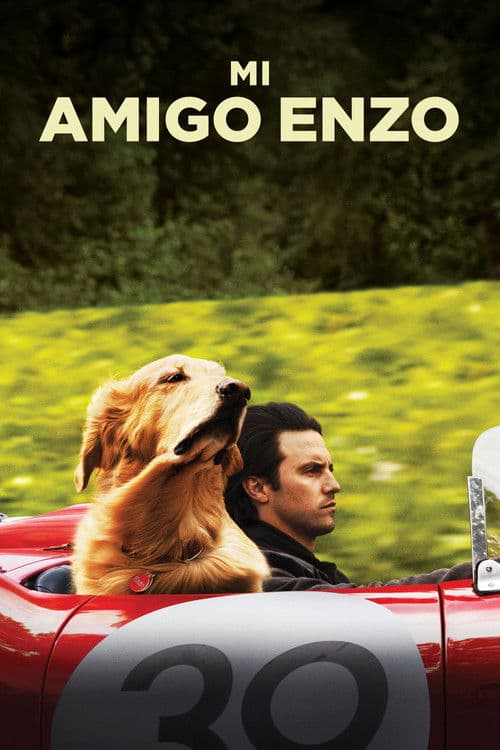 Mi Amigo Enzo