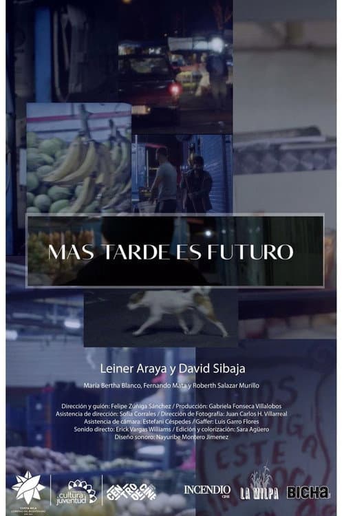 Más tarde es futuro