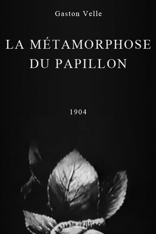 Métamorphoses du papillon
