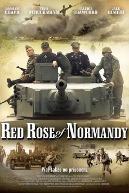 Red Rose of Normandy Rosa Roja de Normandia