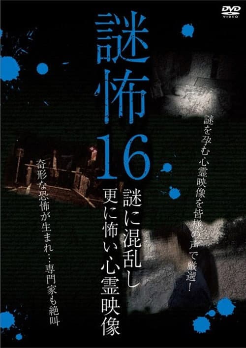 謎怖 16 謎に混乱し更に怖い心霊映像