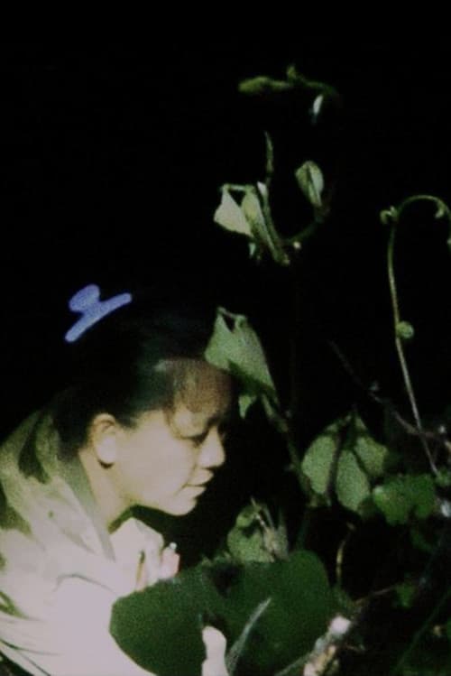 Co mo li