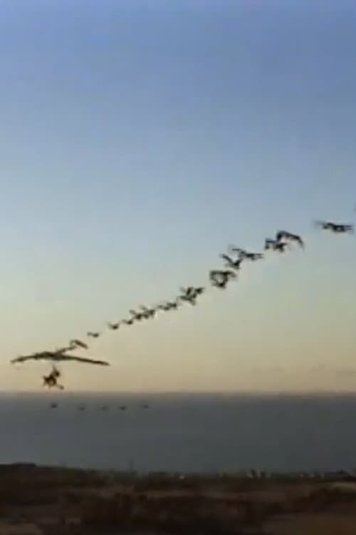 The Ultra Geese