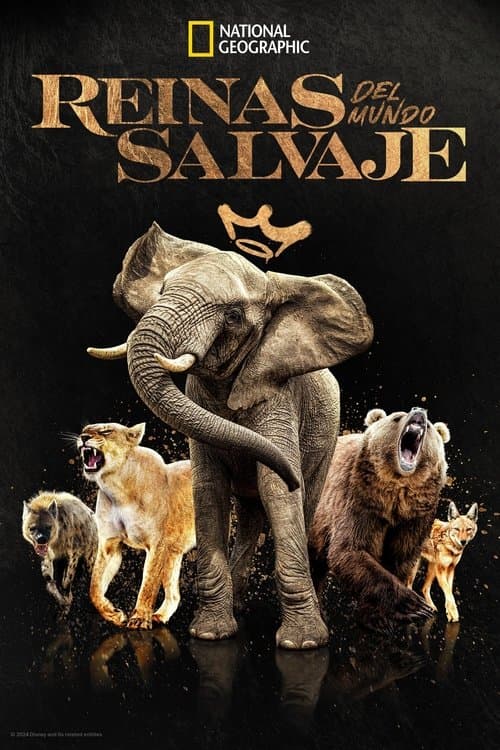 Reinas del mundo animal