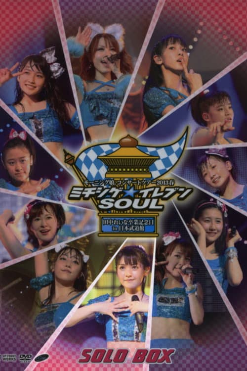 モーニング娘。 コンサートツアー 2013春 Solo 道重さゆみ ミチシゲ☆イレブンSOUL ～田中れいな 卒業記念スペシャル～