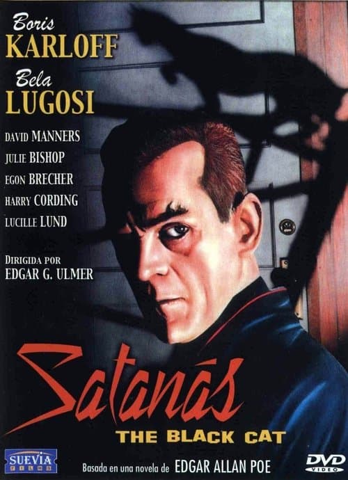 El gato negro