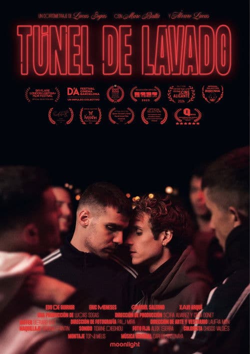 Túnel de lavado