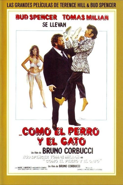 Como el perro y el gato