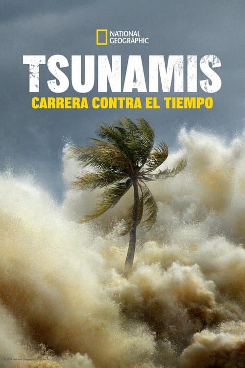 Tsunamis: Carrera contra el tiempo