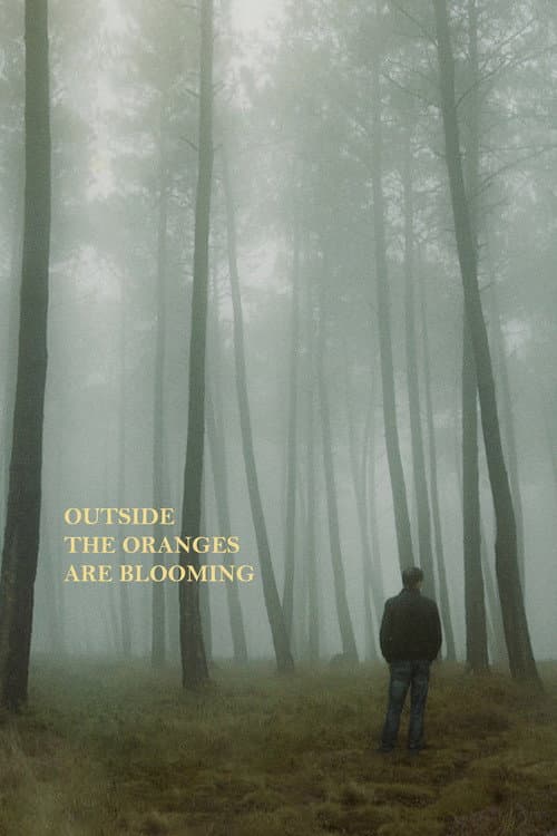 Напољу цветају наранџе