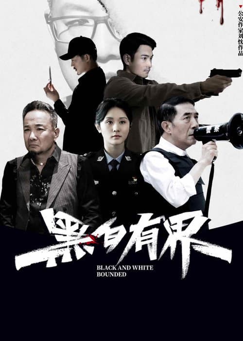 黑白有界