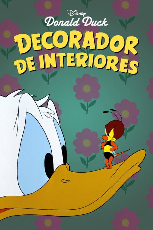 Decorador de interiores