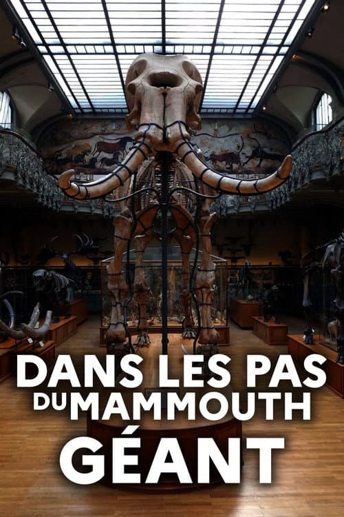 Dans les pas du mammouth géant