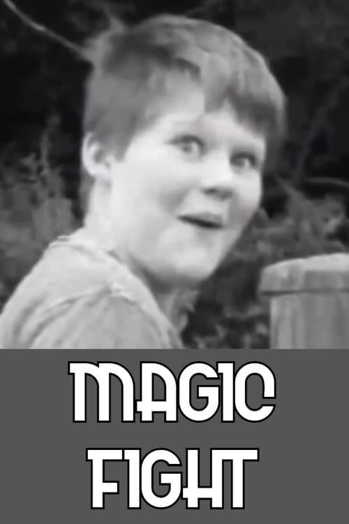 Magic Fight