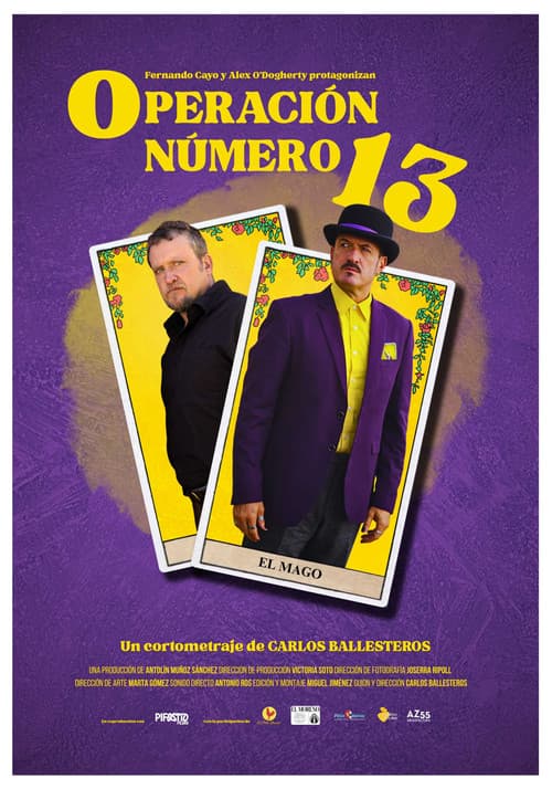 Operación número 13